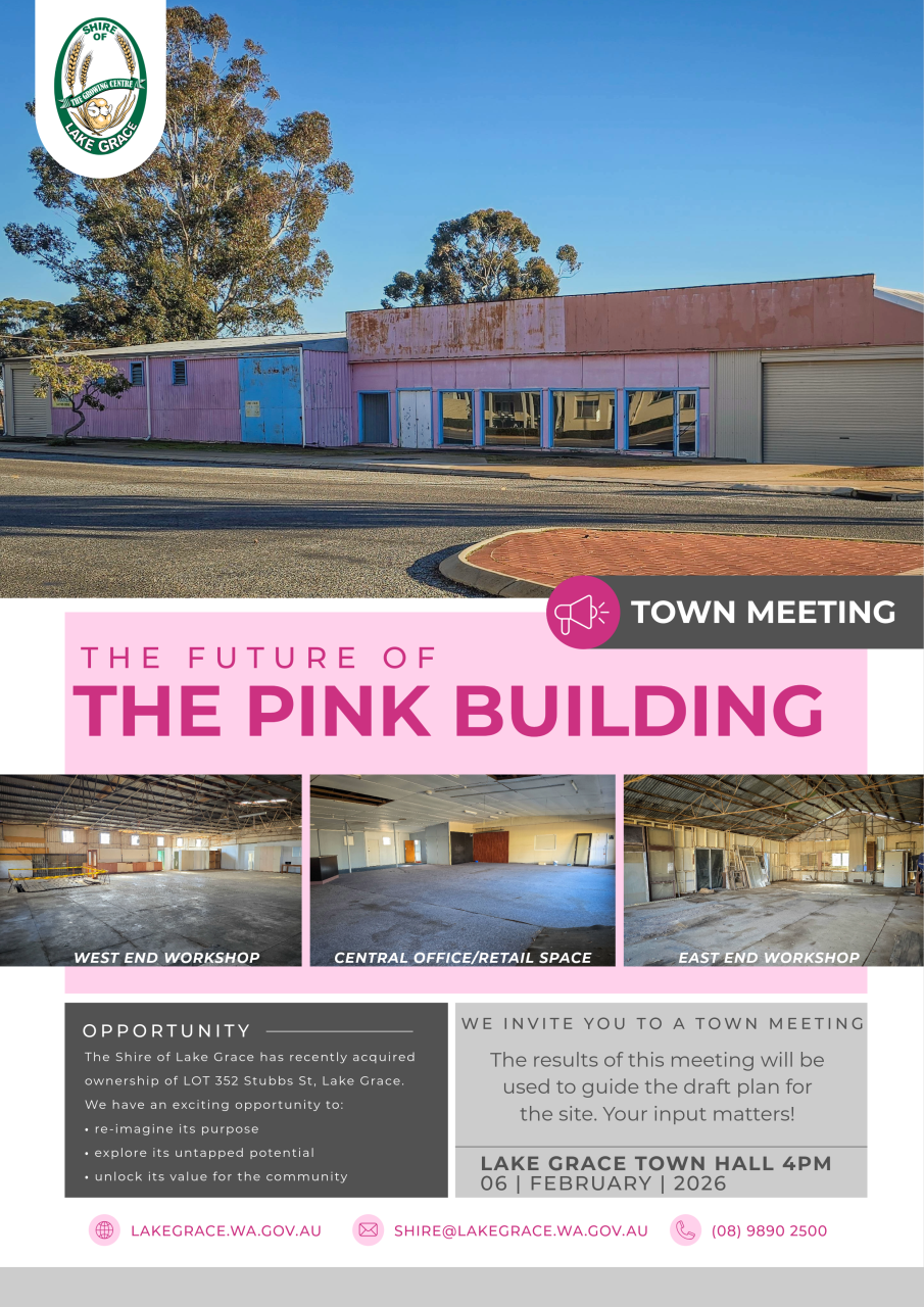 PINK BUILDING TOWN MEETING