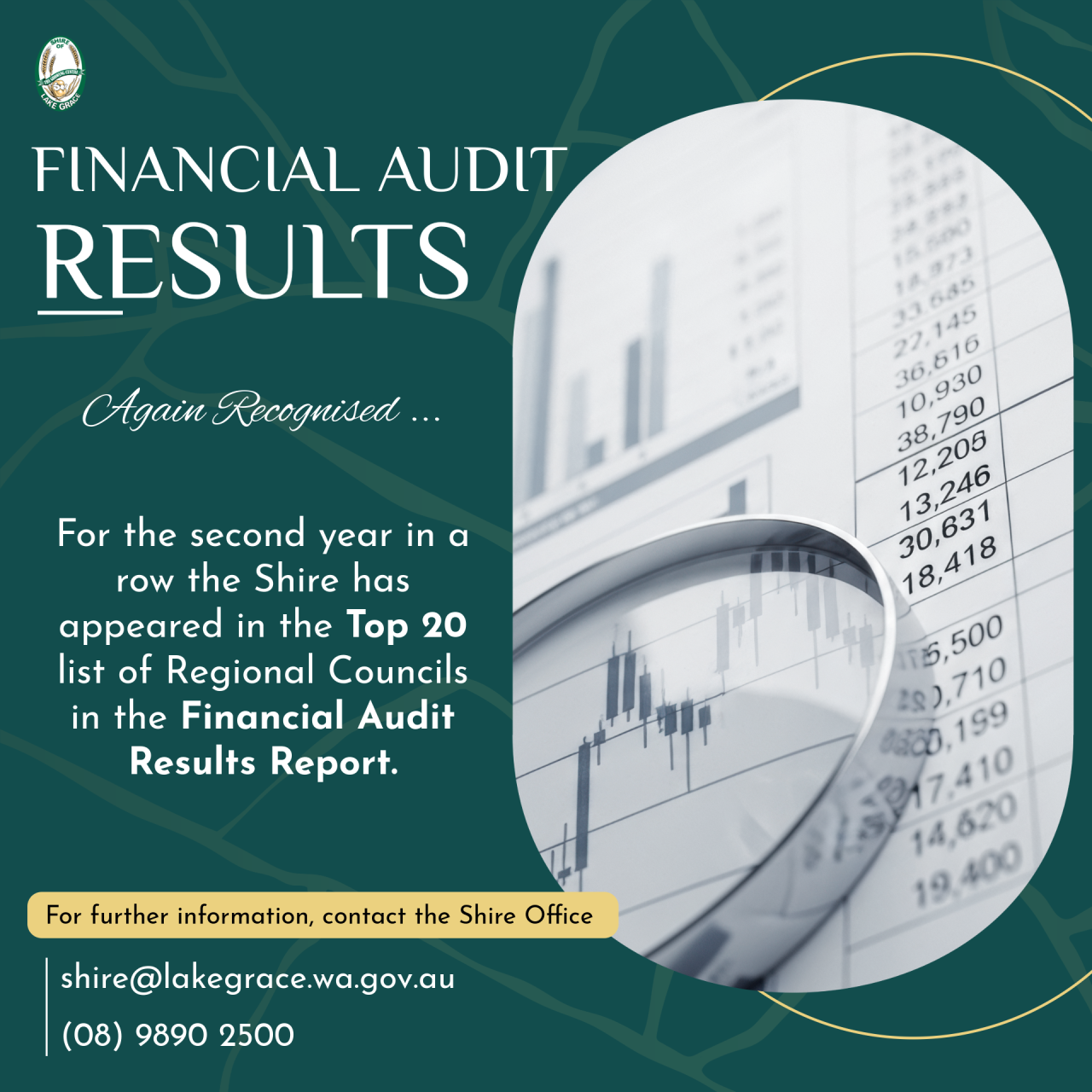 Financial Audit Results - Top 20