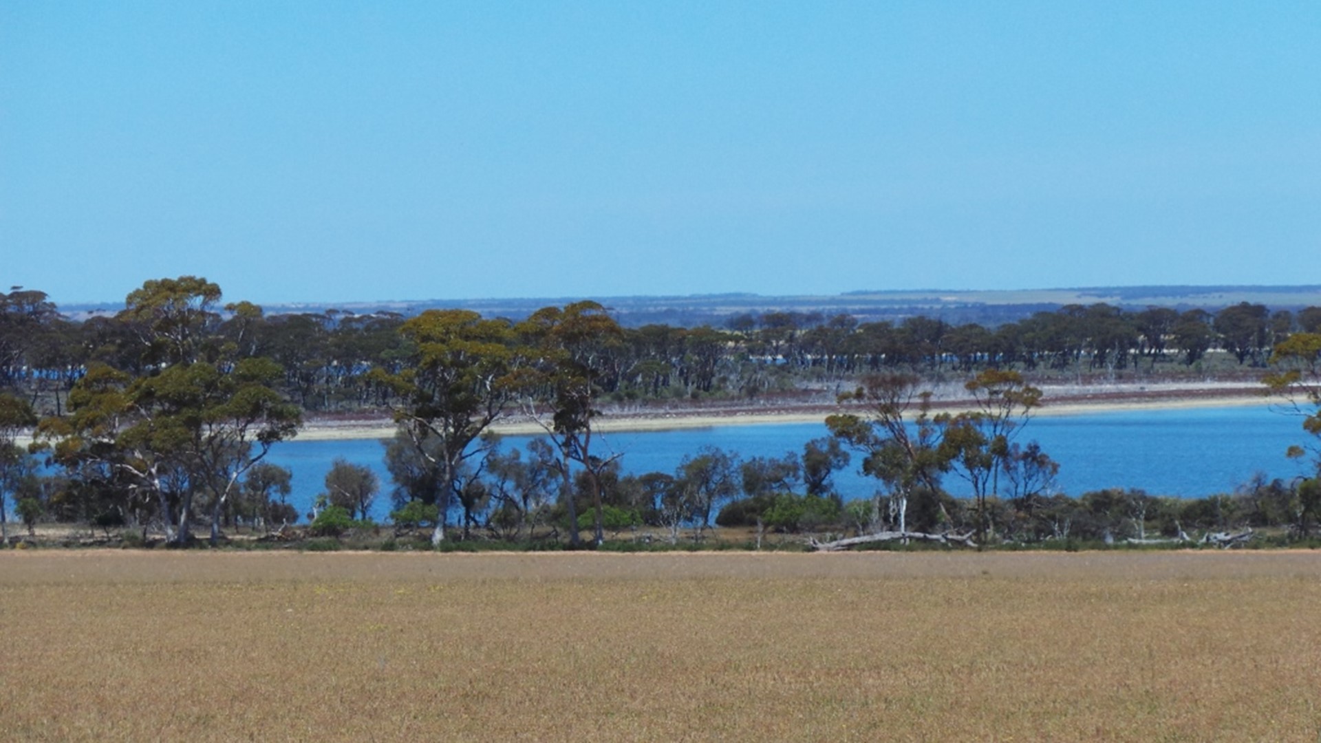 Picture: Kings Lake Pingaring